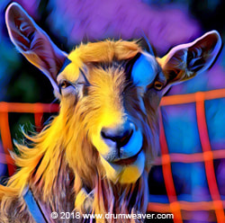 goat spirit