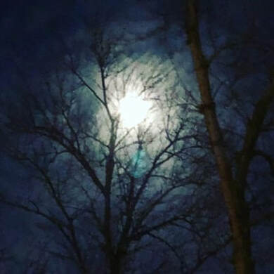 full moon photo by weaver © 2020...